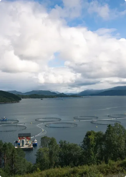 Aerial view of fjord with fish farm pens, industrial vessel, forested hills, and cloudy sky.